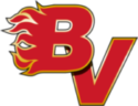 BVHS-Logo-RGB